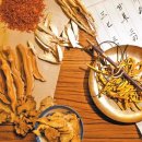사람과 기(氣) 식품 이미지