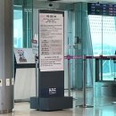 선기 | 17. 제주 웨딩스냅 연일월 촬영 후기 with 선기 작가님(유아오/홀스테일러)