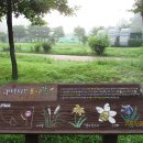 서호꽃뫼 이미지