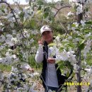 참사랑농원 이미지