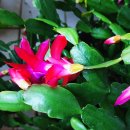 더 스테이 송도 이미지