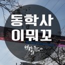 이뭐꼬 이미지