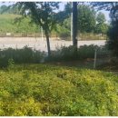 모롱지공원 이미지