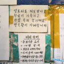 롤리롤리