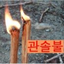 선경사슴 이미지