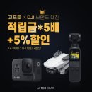 올포독 이미지