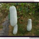 샘밭 농장 이미지