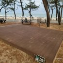 발포해수욕장 | 진하해수욕장 백보킹 2024. 2. 27.(화)~28.(수)