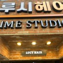 루시헤어 이미지
