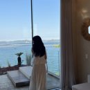 스테이 오아시 이미지