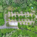 도학야영장 이미지