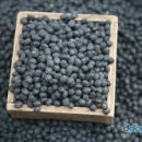 수빈농장 이미지