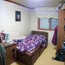 와동초교 이미지