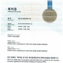 방충망대통령 이미지
