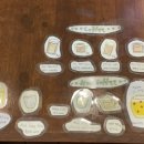 뭉구 애견 이미지