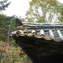 삼성카 이미지