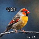 근심 걱정은 不信仰이고, 무의식적 신성모독 행위이다 이미지