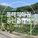 삼척엄미숙공인중개사사무소 | 동해아침부동산, 매물 잘 찾는 부동산
