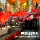만호 | 천안 삼촌카세 재방문각 만호네 내돈내산 후기