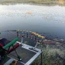 오늘달려 이미지