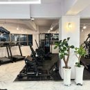 정감피트니스 헬스&PT 이미지