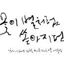 카페감꽃