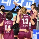현대인삼