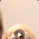 Grooming574 이미지