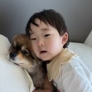 서주현Ⅱ공인중개사사무소 | 뒤늦게 적어보는 LH신생아전세임대 1유형 후기