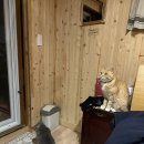 복돌네민박 이미지