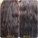 히피펌 후 머리관리법 by 권홍헤어 대치점 유진 디자이너 클리닉 후기
