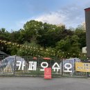 카페오슈오 이미지