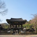 영호농장2 이미지