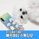 에프에프스튜디오 이미지
