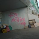 머리향기 이미지