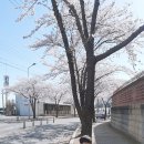 예나유치원 네이버블로그
