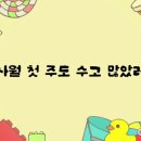 똑똑 이미지