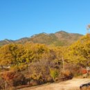 신원사 버스정류장 이미지