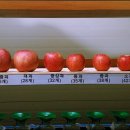 박종복농장 이미지