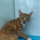 CU방어원룸점 이미지