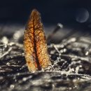 청암순대 네이버블로그