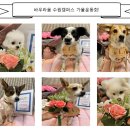 바우라움수원캠퍼스