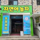 자연아놀자박물관 이미지