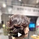 보나단(BONATHAN)헤어