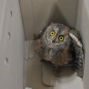 김신환동물병원 이미지