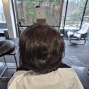 라뷰티헤어 | 탈모에 극손상인데도 가능했던 라뷰티헤어 아이롱펌 후기
