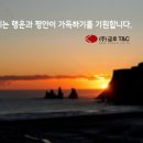 (주)금호티앤씨 이미지