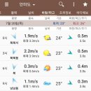 미스오시아 네이버블로그