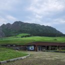 촌촌해녀촌 이미지