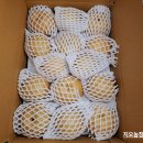 자정농장 이미지